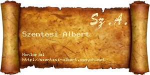 Szentesi Albert névjegykártya